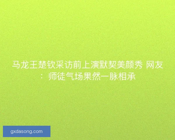 马龙王楚钦采访前上演默契美颜秀 网友：师徒气场果然一脉相承